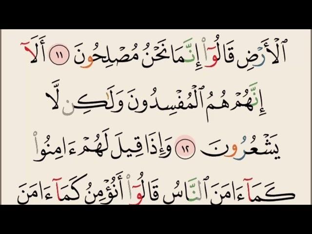 SURAH AL BAQARAH 6-16 | سورة البقرة | Mohamiddin - محام الدين