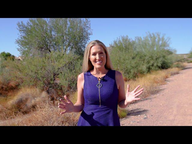 Who is Kelley Norton The Az Realty Lady