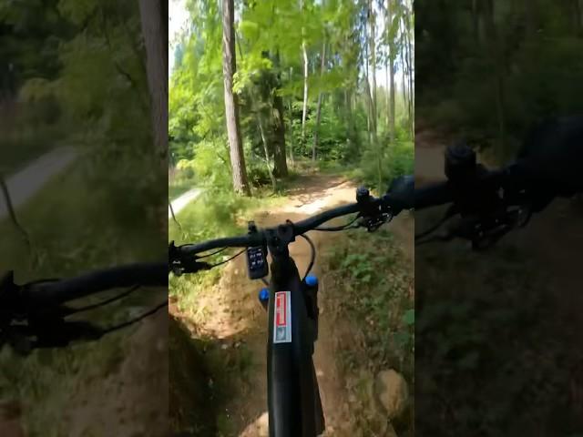 Hometrail Session | MTB Skills verbessern | Downhill Trail