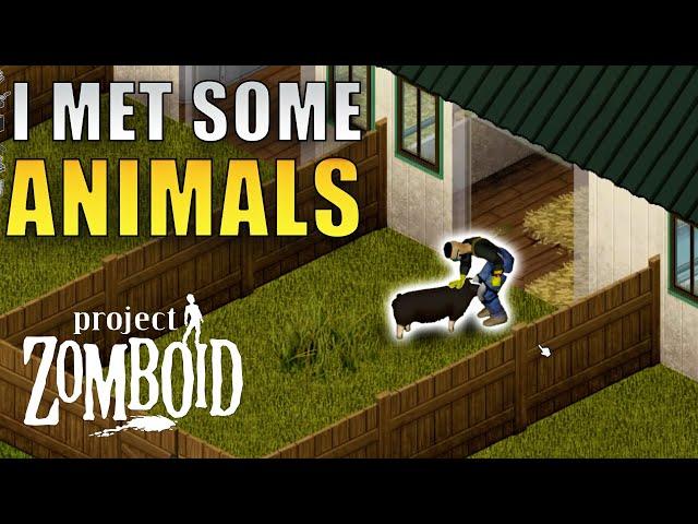 We Moved Into A NEW BASE | Project Zomboid BUILD 42 | Part 5