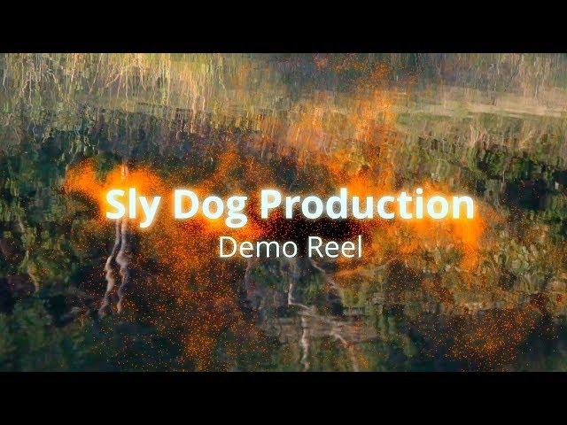 Sly Dog Production OFFICIAL 2019 Demo Reel Montana Video Production