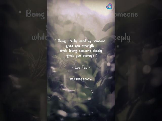 Being deeply loved by someone #shorts  #quotesnow #inspiration #love #lovequotes