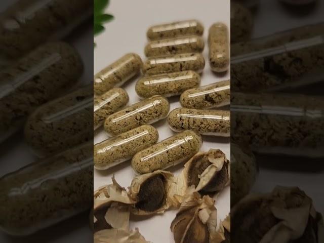 Moringa Seed Powder Capsules #moringa #moringaseeds #moringacapsules