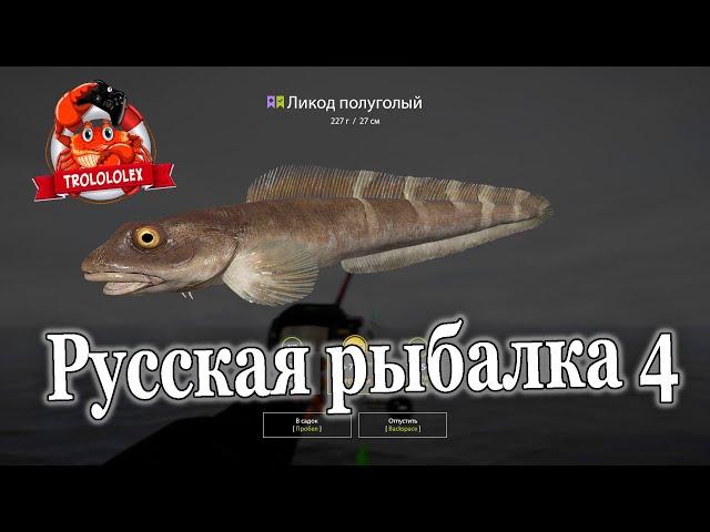 Русская рыбалка 4 в поисках редких видов