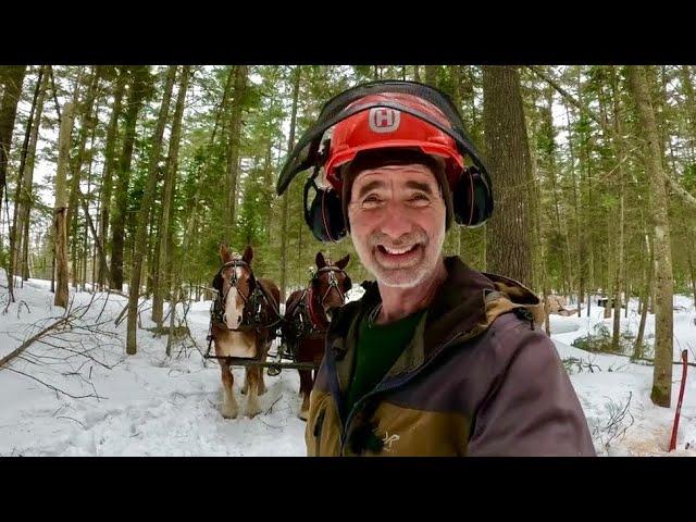 DEEP SNOW LOGGING w/ DRAFT HORSES #794