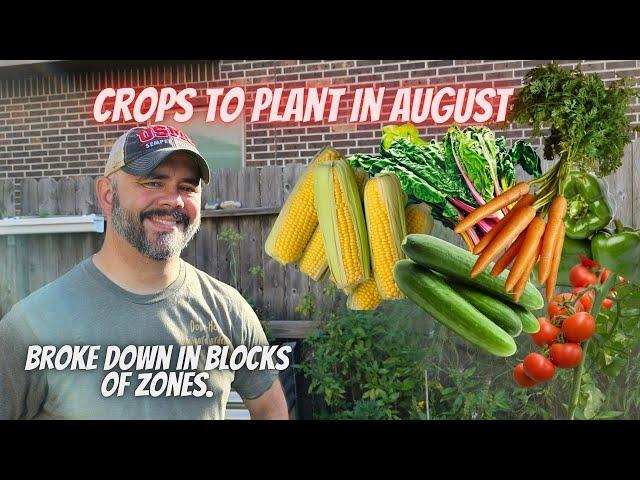 These Are a Few Ideas for Growing in August || DHBG