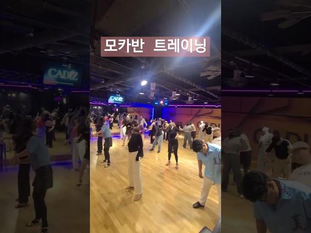 [부천 살사 클럽 카디즈] 모카데이 #모카강습 #에단#유리 핫프레이스카디즈 모카 /토카 소셜 |#살사#준중급#패턴#다크써클#반곡패턴#bachata #salsa #linedance