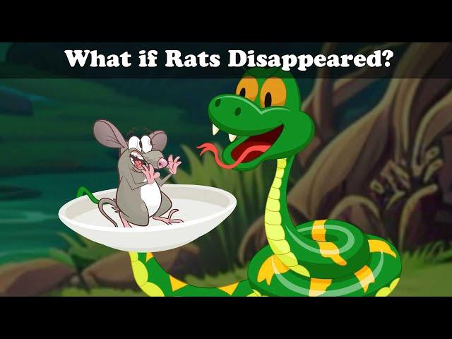 What if Rats Disappeared? + more videos | #aumsum #kids #cartoon #whatif