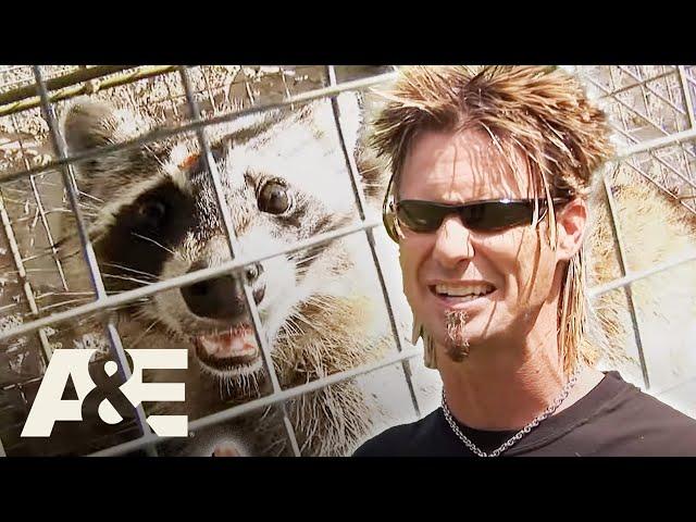 Billy the Exterminator: Billy Attacks Critters FULL EPISODE Marathon | A&E