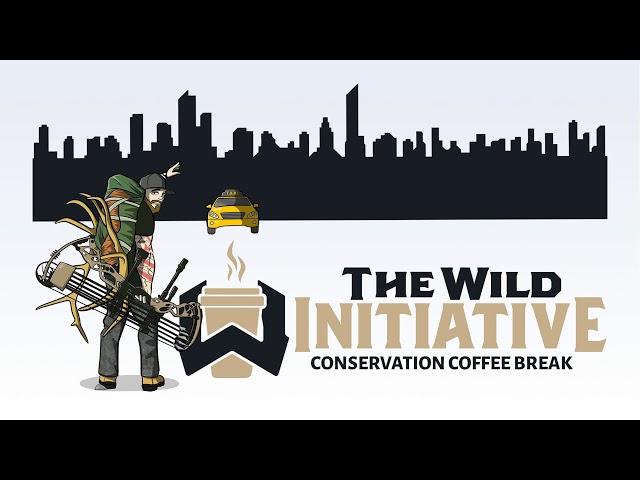 CCB - Wild Sheep Foundation Intro