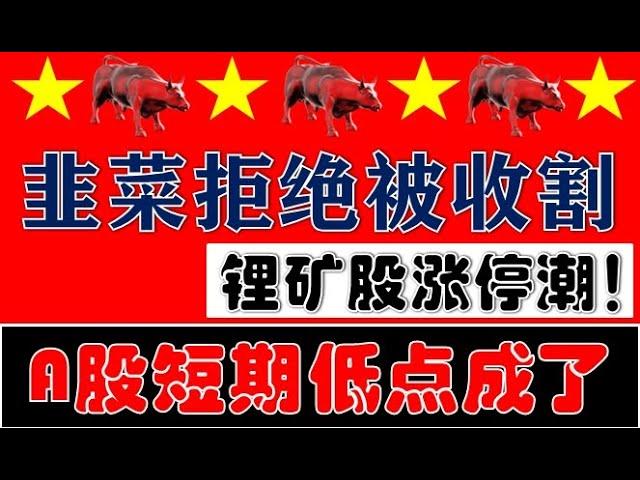 A股大反攻！韭菜们拒绝被收割！锂矿股爆发涨停潮！短期低点成了！（2024.11.19股市分析）