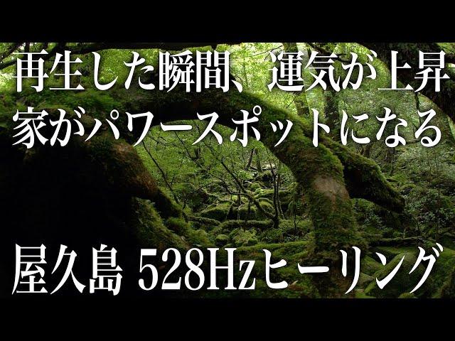 【神が住む 屋久島】再生するだけで家がパワースポットになり、邪気が払われ、驚くほど運氣が上がり、お金も心も人間関係でも満たされる人が一人でも増えるよう、祈りを込めて作りました(@0025)