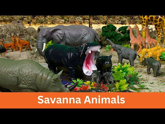 Meet African Safari Animals | Savanna Diorama Craft: Kids' Fun Facts