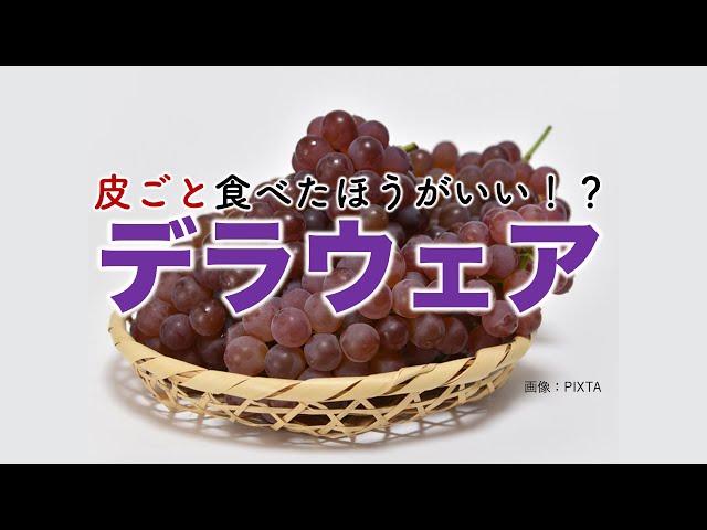 皮ごと食べた方が良い？ デラウェアの栄養と効果的な食べ方