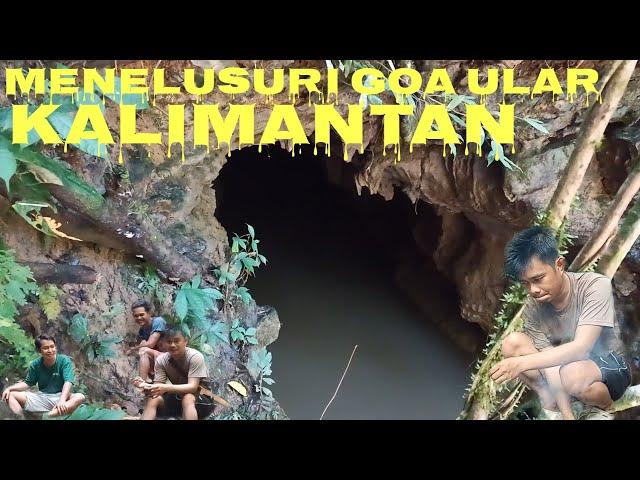 PETUALANGAN MENCARI GOA YANG DI HUNI ULAR RAKSASA ZAMAN DULU. #kalimantan  #petualangan