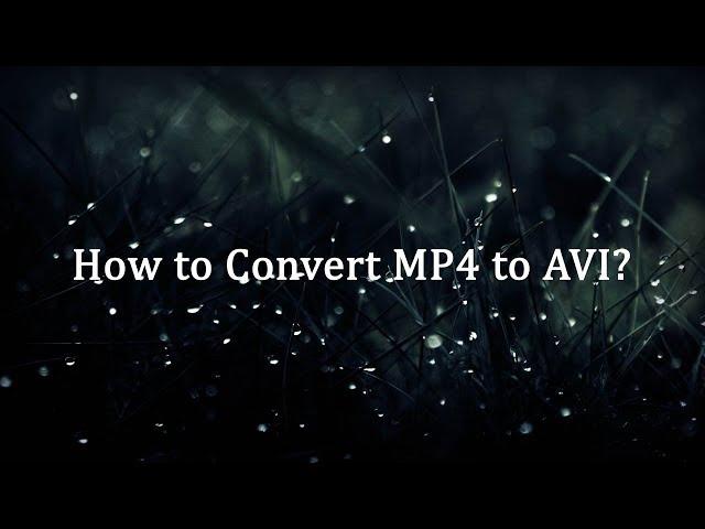 How to Convert MP4 to AVI?