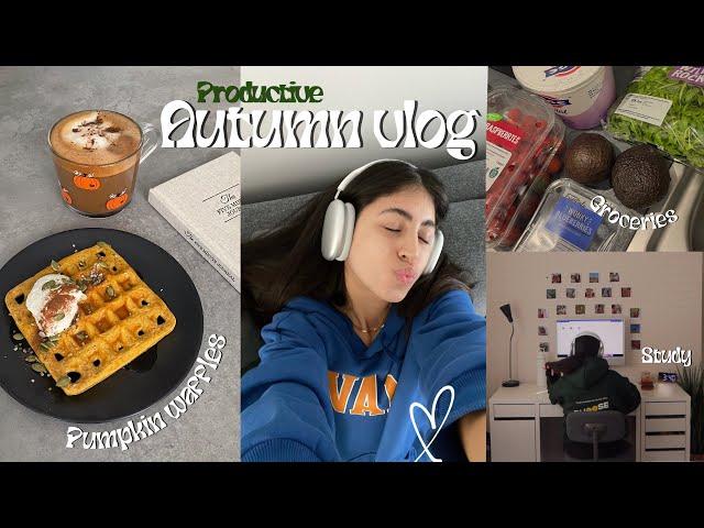 Productive day in my life  | pumpkin waffles, grocery shopping, studying +more !