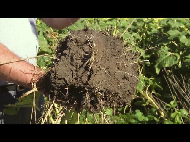 Soil Health and Soil Health Institute Featured on American Farmer TV Series