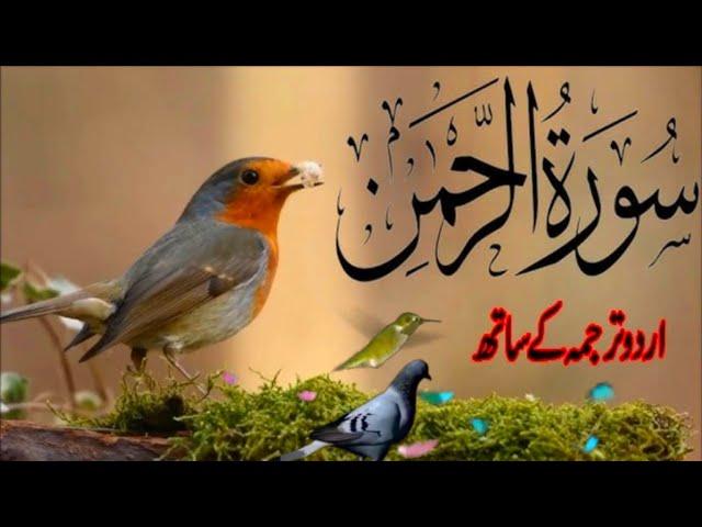 SURAH RAHMAN TARJUMA K SATH | BY QARI Al SHAIKH MUHAMMAD | EP 00458 | QURAN TILAWAT BEAUTIFUL VOICE