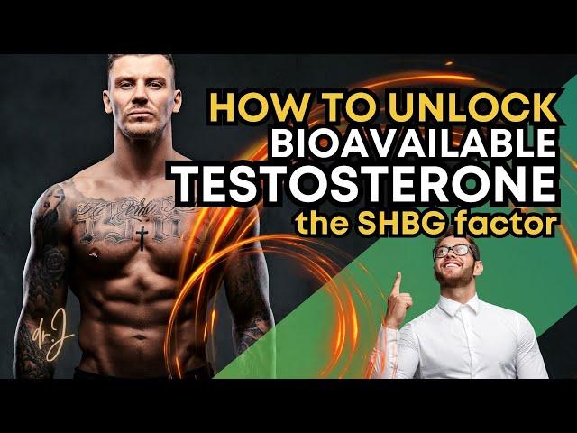 UNLOCK BIOAVAILABLE TESTOSTERONE: The SHBG Factor - A Comprehensive Guide!