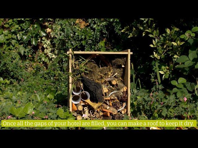 How to Build an Insect Hotel