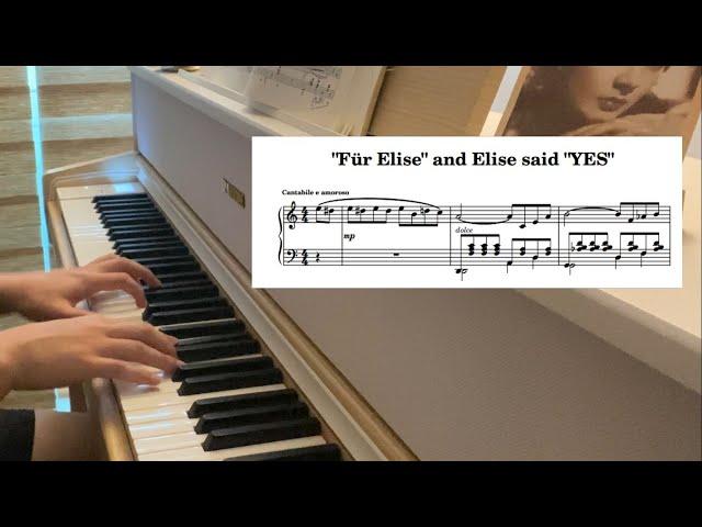 "Für Elise" and Elise said "YES" (Elise's Serenade)