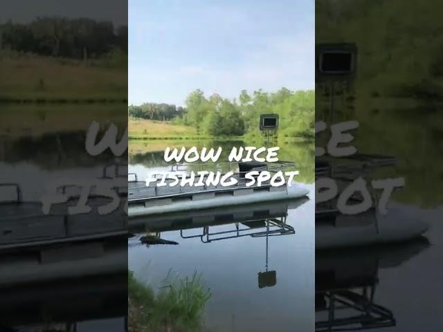 WOW THIS IS A NICE FISHING SPOT IN GEORGIA #georgiafishing #fishing #nicefishspot