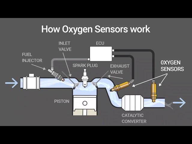 What is an Oxygen Sensor?