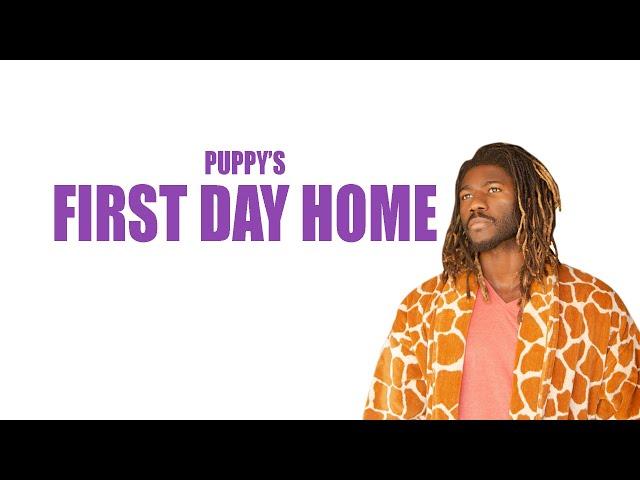 PUPPY'S FIRST DAY HOME   FEATURING TEDDY BEAR