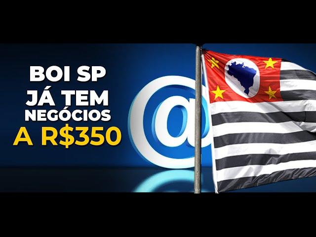 BOI SP JÁ TEM NEGÓCIOS A R$350