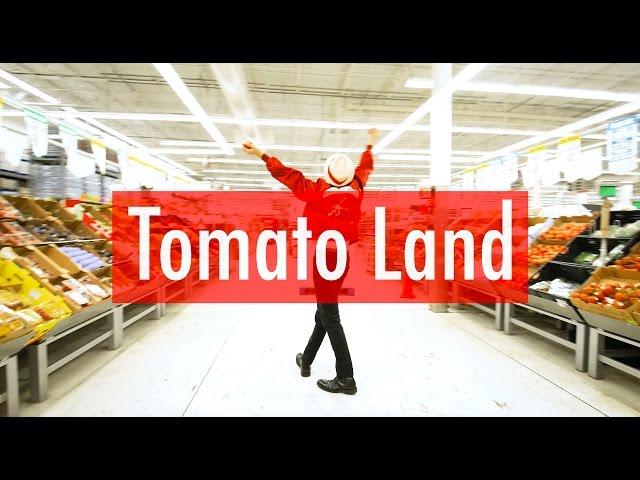 Tomato Land (4K)