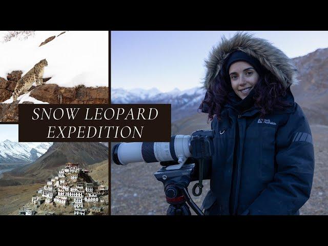 Ghosts of the Mountain: Snow Leopard Expedition in Kibber, India