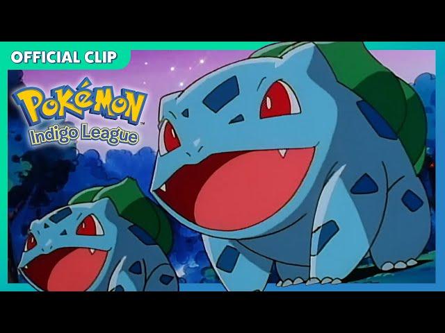 Bulbasaur’s Evolution Song!  | Pokémon: Indigo League | Official Clip