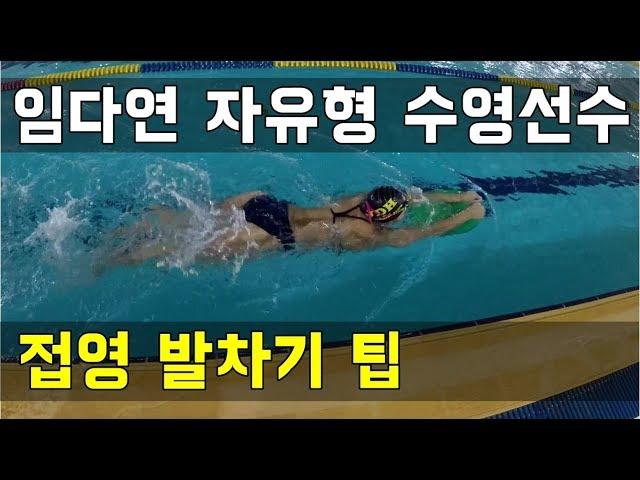 SHC 수영 강습_임다연 코치님 접영발차기 팁