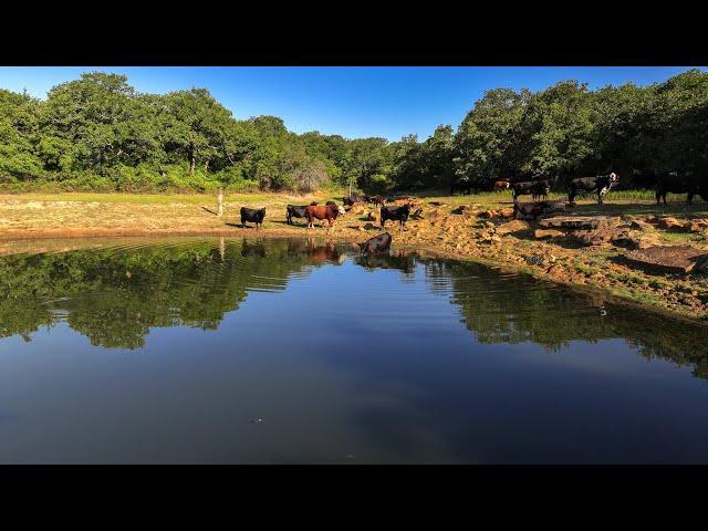 North Texas Ranch For Sale ~ 444ac Near Jacksboro TX