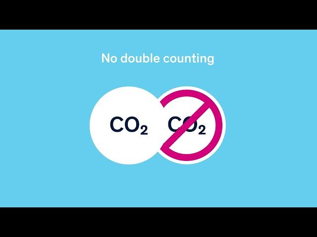 The future of carbon offsetting: Article 6 of the Paris Agreement explained – myclimate