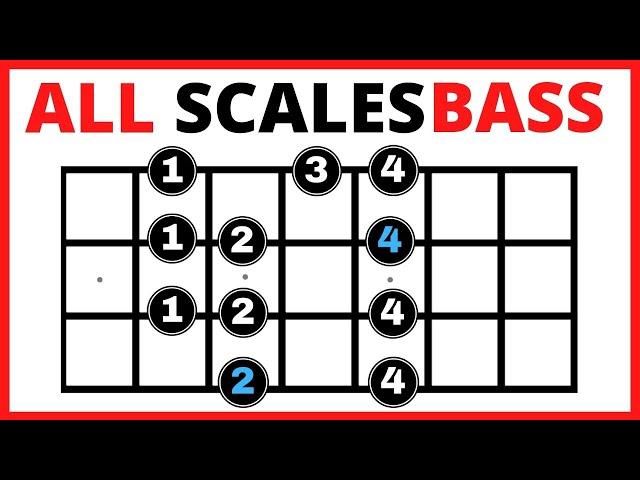  Bass Guitar Scales for Beginners 【All You Need to Know】 Bass Scales Patterns