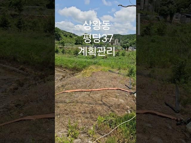 시세반값 #싼토지 #공주전원주택 문의010-7590-5752