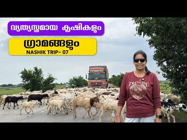 Farms and Villages | Nashik Trip | EP - 07 | Jelaja Ratheesh | Puthettu Travel Vlog |