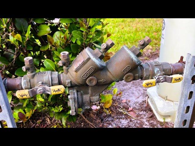 Apollo Backflow Leak - Pressure Relief Valve easy replacement