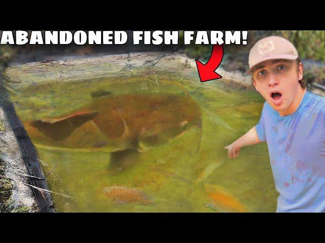 I Caught a MONSTER in an Abandoned Fish Farm!