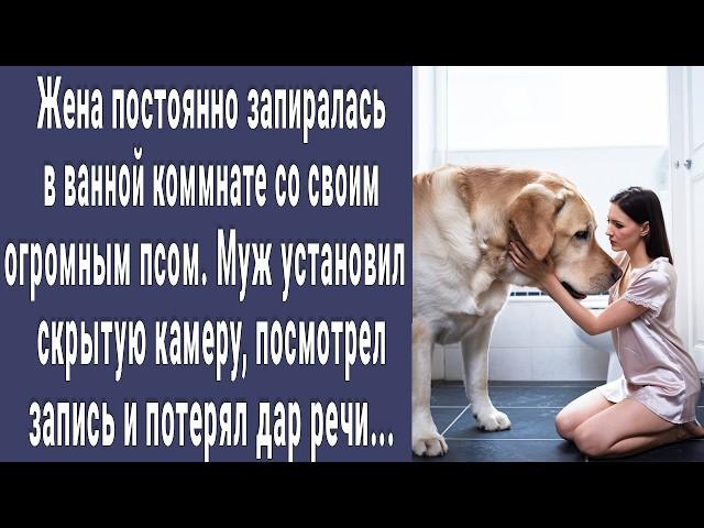 Жена постоянно запиралась в ванной комнате с огромным псом. Муж установил скрытую камеру и онемел...