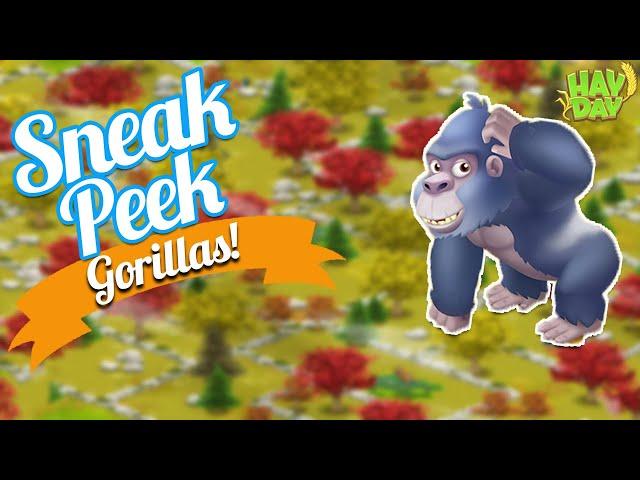 Hay Day Sneak Peek-GORILLAS!! New Sanctuary Animal! Day at the Zoo!!