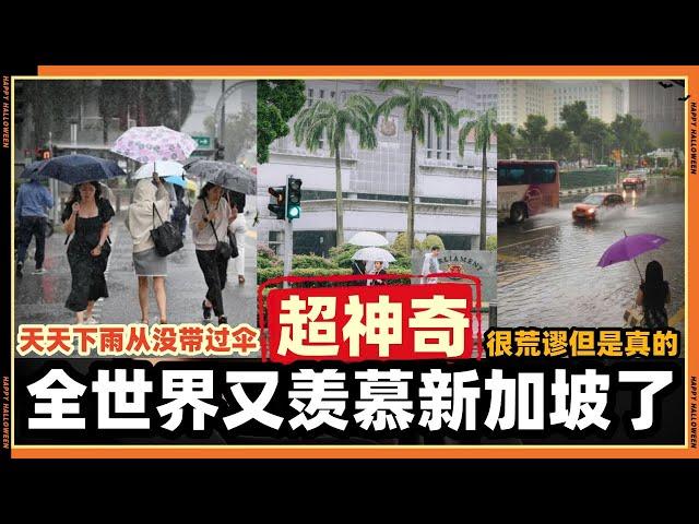 全世界又羡慕新加坡了，为什么只有新加坡才能做到?