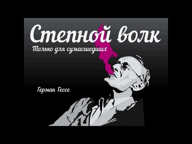 Степной волк | Герман Гессе | аудиокнига | Терновский Евгений