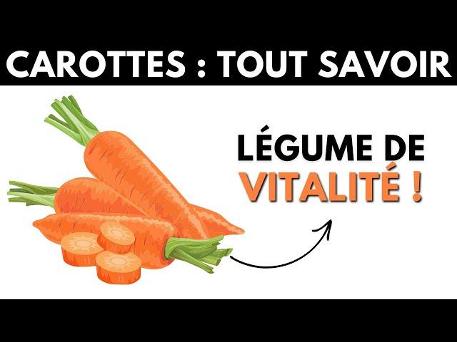 Carottes : ses dangers et bienfaits pour la santé - Dr Santé