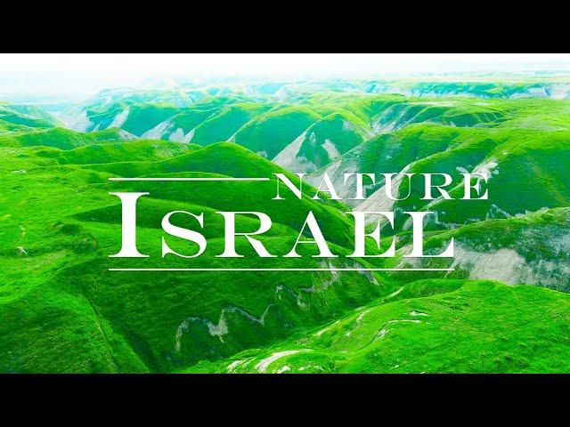 Very Soothing Music. AMAZING NATURE. Between ISRAEL and JORDAN