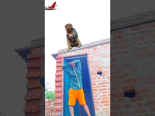 Hanuman chalisa part 66 #tseries #hanumanchalisa #shortsfeed #vfx #hindugod