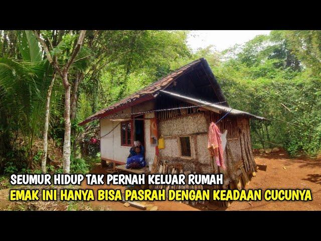 Bahagianya Emak Yang Tinggal Menyendiri Di Pinggir Hutan Dapat Kiriman Rezeki