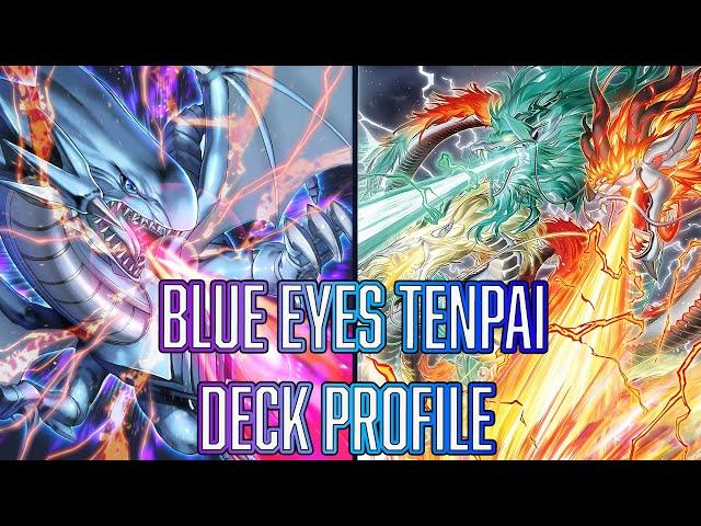 YUGIOH Blue Eyes Tenpai - SUPER AGGRO Deck Profile